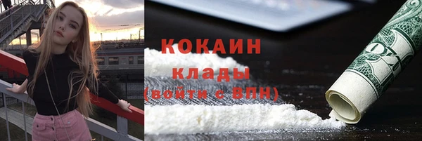 стафф Алексин