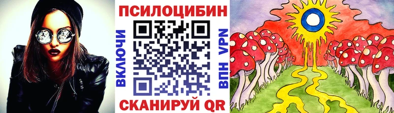 Галлюциногенные грибы Magic Shrooms Купить закладки Новоалтайск