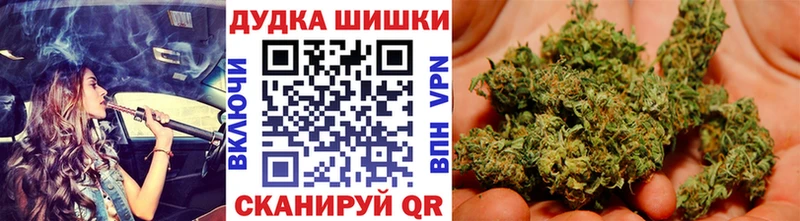Купить  Новоалтайск  Канабис OG Kush 